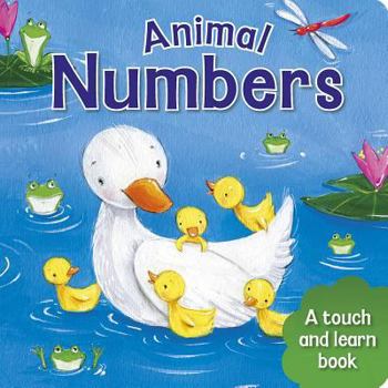 Board book Animal Numbers: A Touch and Learn Book