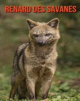 Paperback Renard des Savanes: Informations Etonnantes & Images [French] Book