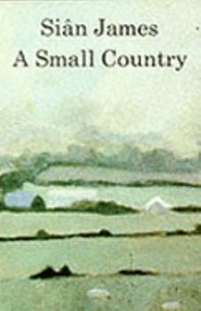 A Small Country (Seren Classics) - Book  of the Seren Classics