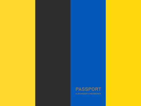 Hardcover Passport Book