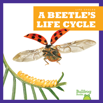 Paperback A Beetle's Life Cycle Book