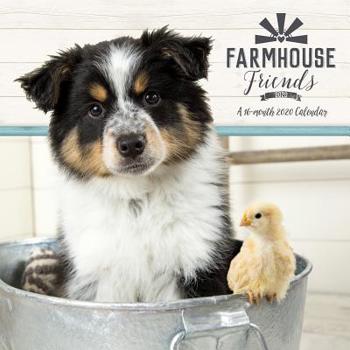 Calendar Cal-2020 Farmhouse Friends Wall Book