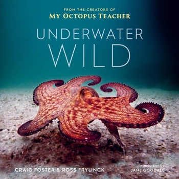 Hardcover Underwater Wild: My Octopus Teacher's Extraordinary World Book