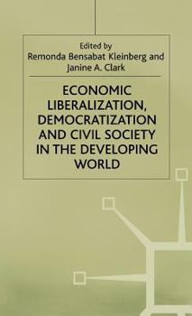 Economic Liberalization, Democratization and Civil Society in the Developing World (Macmillan International Political Economy)