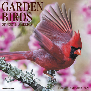 Calendar Garden Birds 2020 Wall Calendar Book