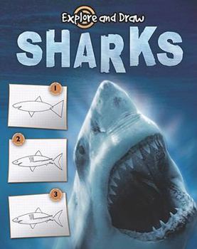 Paperback Sharks, Drawing and Reading Book