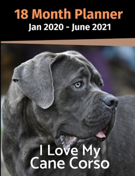 Paperback Jan 2020 - June 2021 18 Month Planner: I Love My Cane Corso Book