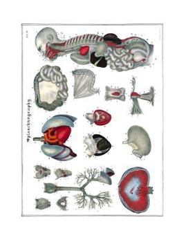 Paperback Splanchnography Composition Notebook: Wide Ruled Note-Taking Book