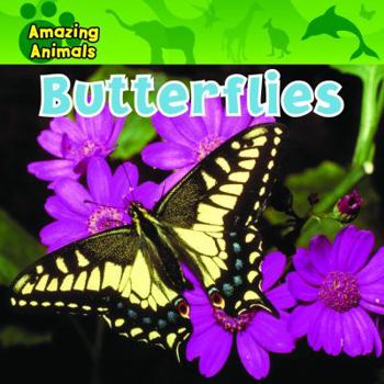 Butterflies - Book  of the Amazing Animals