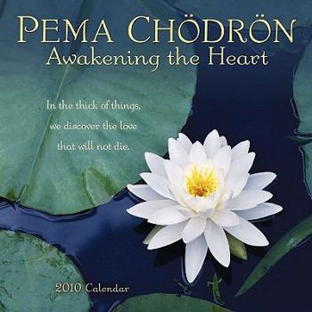 Calendar Pema Chodron Calendar: Awakening the Heart Book