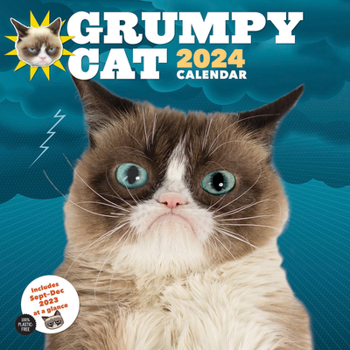 Calendar Grumpy Cat 2024 Wall Calendar Book