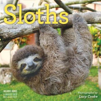 Calendar Sloths Mini Wall Calendar 2018 Book