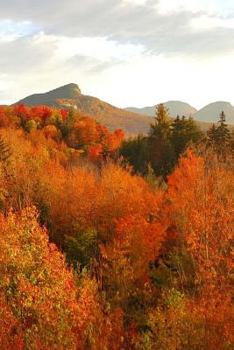 Paperback Fall Journal Beautiful Mountain Scene: (Notebook, Diary, Blank Book) Book