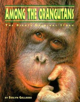 Paperback Among the Orangutans: The Birute Galdikas Story Book