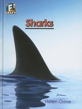 Library Binding Sharks Book