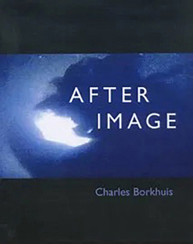 Paperback Afterimage Book