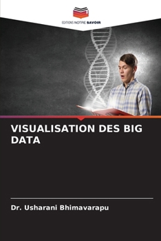 Visualisation Des Big Data (French Edition)