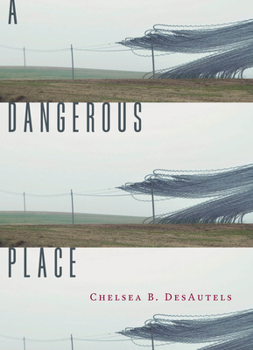 Paperback A Dangerous Place Book