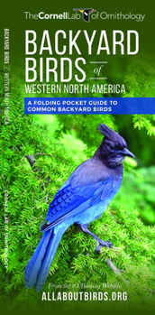 Paperback Backyard Birds of Western North America: A Folding Pocket Guide to Common Backyard Birds Book