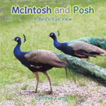 Paperback McIntosh and Posh: A Bird's-Eye View Book