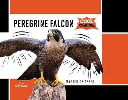 Staple Bound Peregrine Falcon Book