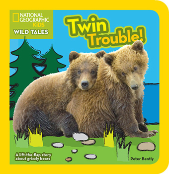 Board book Twin Trouble Book