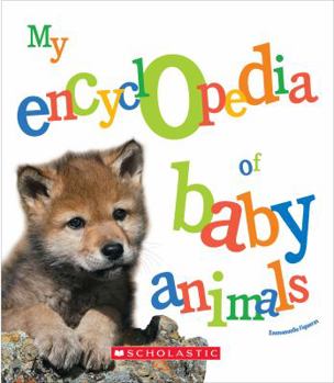 Hardcover My Encyclopedia of Baby Animals (My Encyclopedia) Book