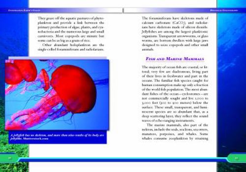 Investigating Earth's Oceans - Book  of the Introduction to Earth Science