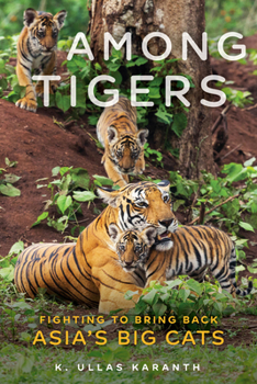 Hardcover Among Tigers: Fighting to Bring Back Asia's Big Cats Book