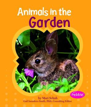 Hardcover Animals in the Garden Book