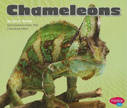 Hardcover Chameleons Book