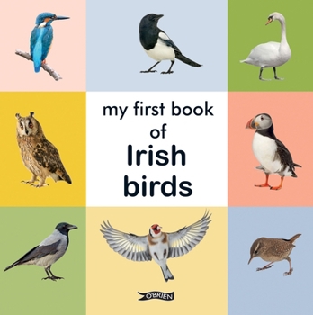 Hardcover My First Book of Irish Birds Book