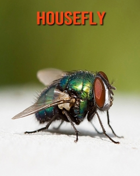Housefly: Amazing Facts about Housefly