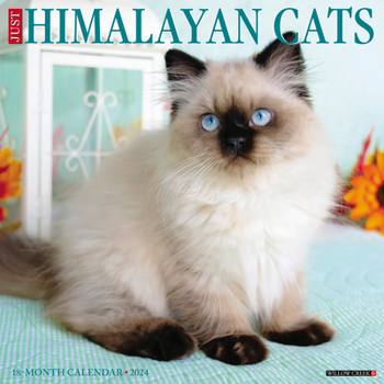 Calendar Just Himalayan Cats 2024 12 X 12 Wall Calendar Book