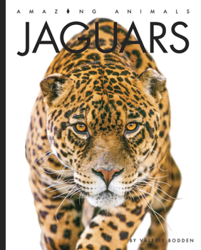Jaguars - Book  of the Amazing Animals