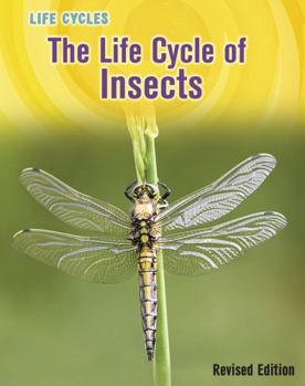Paperback The Life Cycle of Insects Book