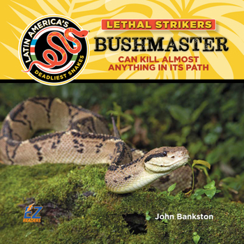 Bushmaster Snake : Can Kill Almost Anything In Its Path