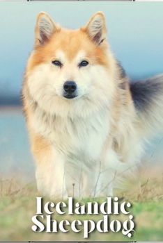 Paperback Icelandic Sheepdog: Dog breed overview and guide Book