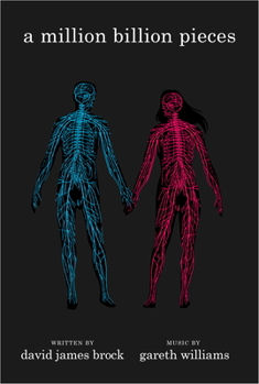 Paperback A Million Billion Pieces Book