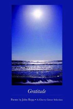 Paperback Gratitude Book