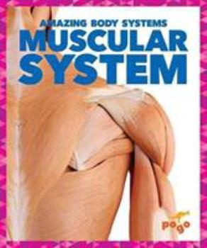 Hardcover Muscular System Book