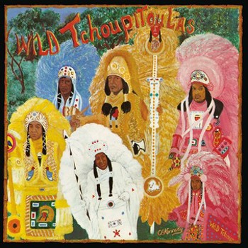 Vinyl Wild Tchoupitoulas Book