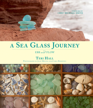 Paperback A Sea Glass Journey: Ebb and Flow Book