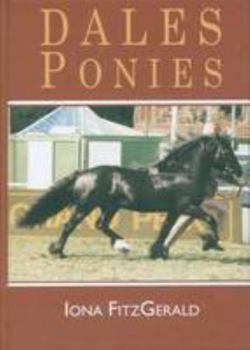 Hardcover Dales Ponies Book