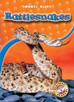 Rattlesnakes - Book  of the Snakes Alive