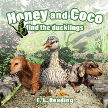 Paperback Honey and Coco find the ducklings Book