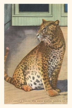 Paperback Vintage Journal Leopard, Sarasota, Florida Book