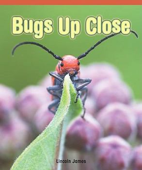 Paperback Bugs Up Close Book