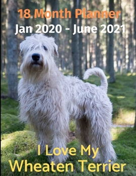 Paperback Jan 2020 - June 2021 18 Month Planner: I Love My Wheaten Terrier Book