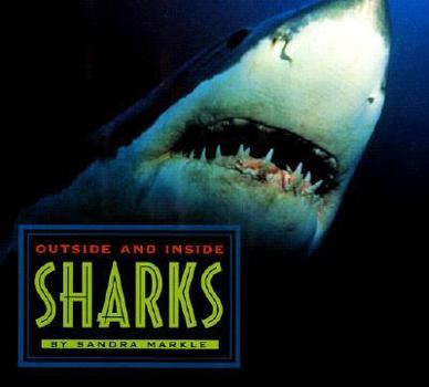 Outside And Inside Sharks (Outside Inside)